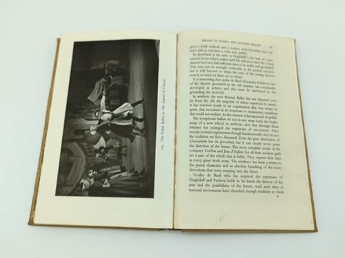 Ballet Panorama: An Illustrated Chronicle of Three Centuries by Arnold L Haskell