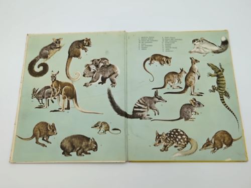 Skippy to the Rescue by Victor Barnes (Hardcover, 1969) 1st Edition