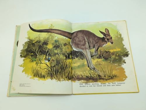 Skippy to the Rescue by Victor Barnes (Hardcover, 1969) 1st Edition