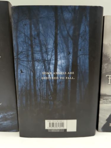 Lauren Kate Books 1 2 3 Fallen Torment Passion Paperback & Hardcover