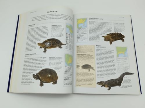 The Illustrated World Encyclopedia Of Freshwater Fish & River Creatures