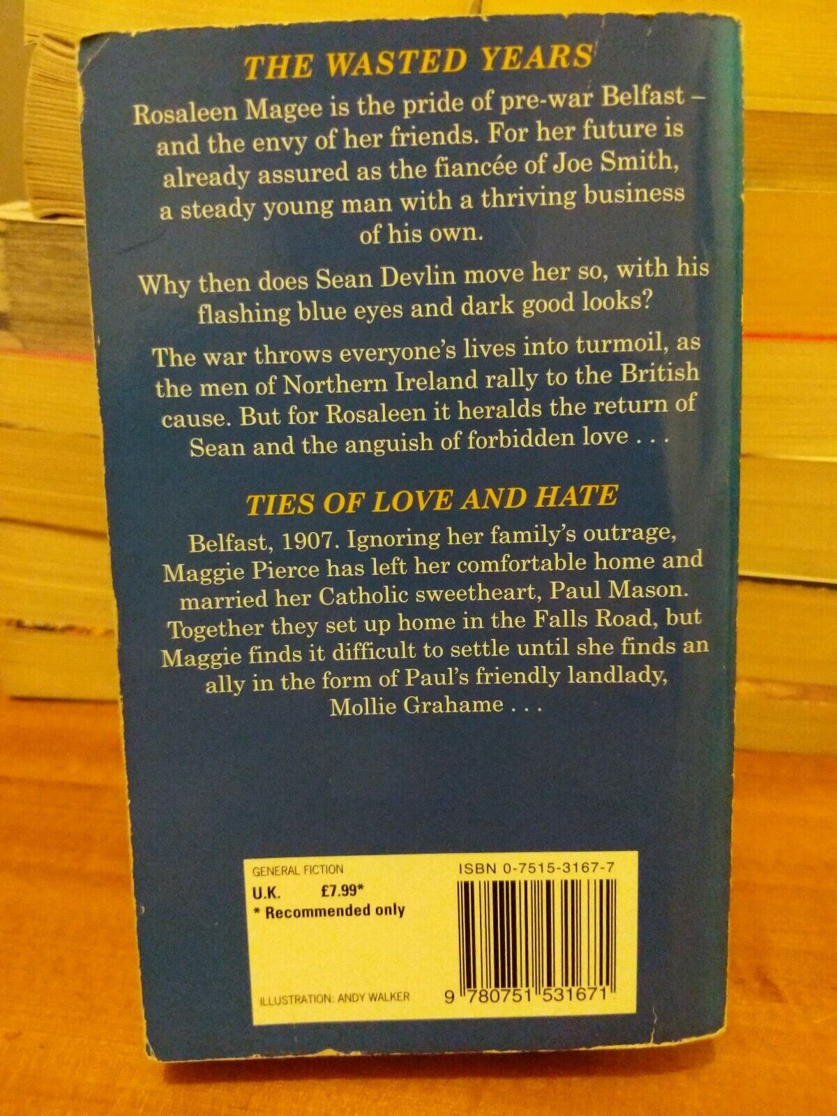 Ties of Love and Hate/The Wasted Years by Mary Larkin (Paperback, 2001)