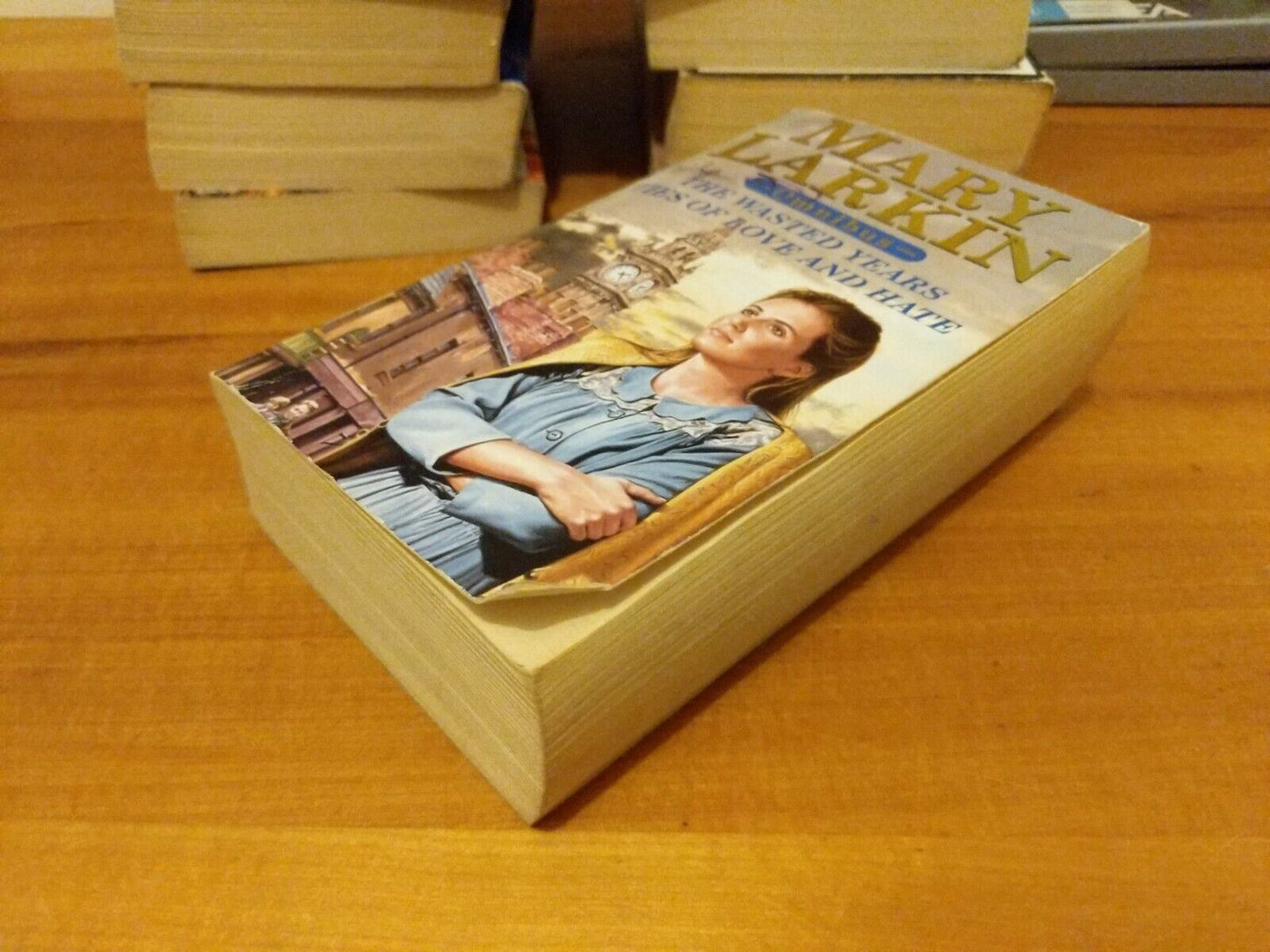 Ties of Love and Hate/The Wasted Years by Mary Larkin (Paperback, 2001)