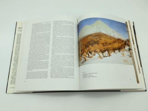 Two hundred years of New Zealand painting by Gil Docking (Hardcover 1869530454)