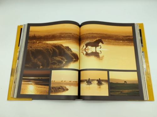 The World's Most Beautiful Horses, G. Boiselle | Hardcover Coffee Table Book