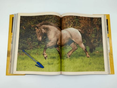 The World's Most Beautiful Horses, G. Boiselle | Hardcover Coffee Table Book