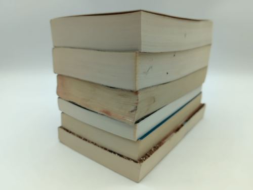 6x Young Adult Teen Girl Love | Thriller Books Bundle including Brendan Reichs..