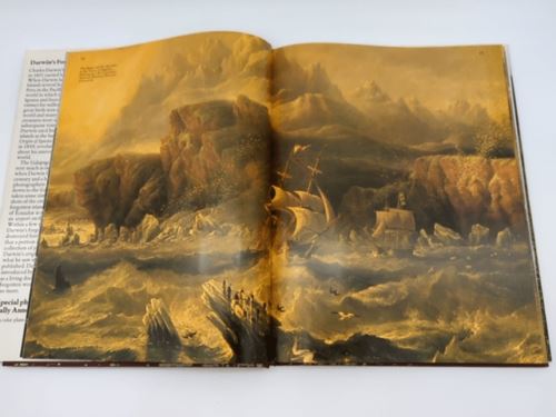 Darwin's Forgotten World by R. & S.A. Thompson Lewin (Hardcover 0861240162)