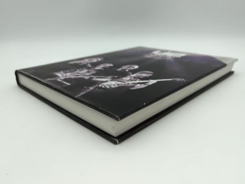 U2: A Diary by Matt McGee | Complete History Timeline of the band (Paperback)