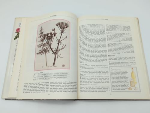 The Illustrated Herbal by Philippa Black | Coffee Table Hardcover Book