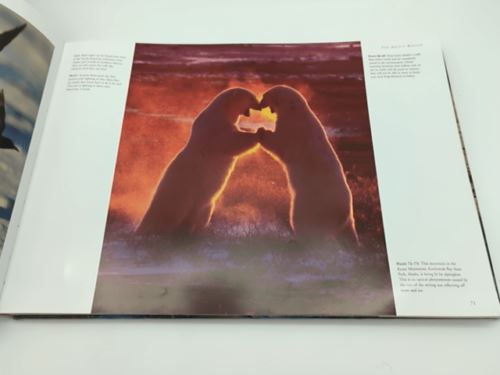 The Frozen World: A Panoramic Vision, Patrick Hook, Huge Coffee Table HC Book