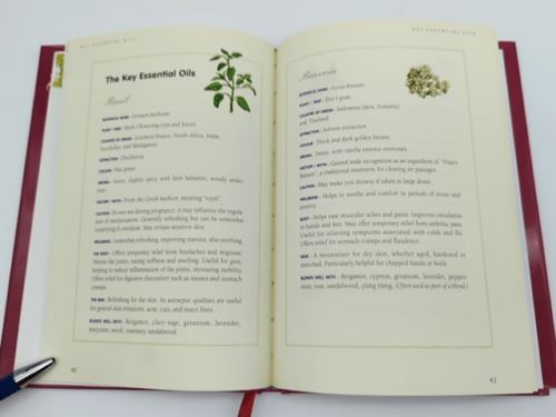 Train to Somewhere by Eve Bunting (Library Binding, 2000) Book Nook 0756942608