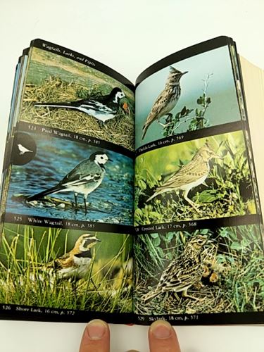 Collins Bird Guide (Collins Field Guide) by Stuart Keith (Paperback 0002191199)