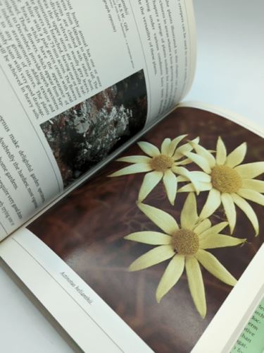 The Australian Gardener's Guide to Native Plants by Geoff Rigby 0908001274