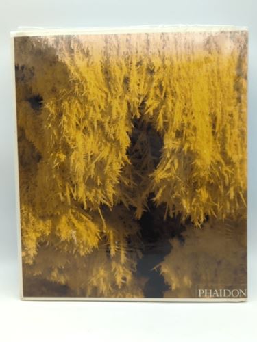 Earthsong (Earth Aerial Photography) by Bernhard Edmaier (Hardcover, 2004)