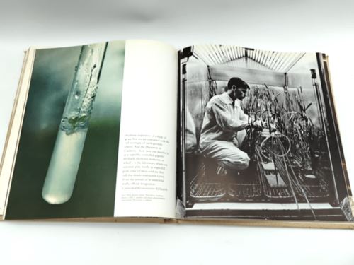 The Australians by George Johnston & Robert B Goodman (Hardcover, 1972)