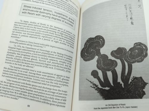 Reishi Mushroom: Herb of Spiritual Potency and Medical Wonder by Terry Willard