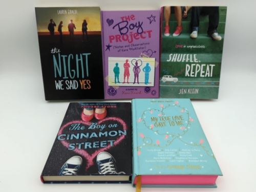 5x Paperback Young Adult Teen Love Book Bundle; Teenage Love Boys