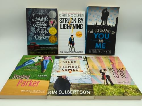 6x Mixed Young Adults Booktok Bundle including Lauren Morrill & Chris Colfer...