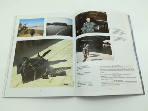 Team Stealth F117 by Robert Shelton - Air Force Book