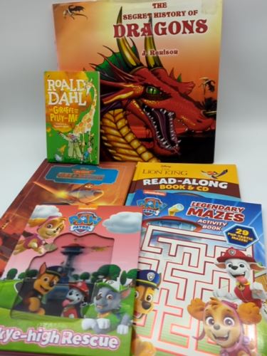 Boys 6 Book Bundle: Roald Dahl, Dragons, Paw Patrol, Disney, CD Read-Along