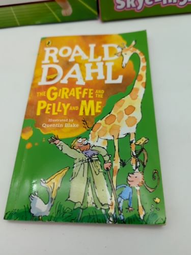 Boys 6 Book Bundle: Roald Dahl, Dragons, Paw Patrol, Disney, CD Read-Along