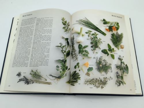 Family Guide to Alternative Medicine by Reader's Digest (Hardcover, 1992) 1st Ed
